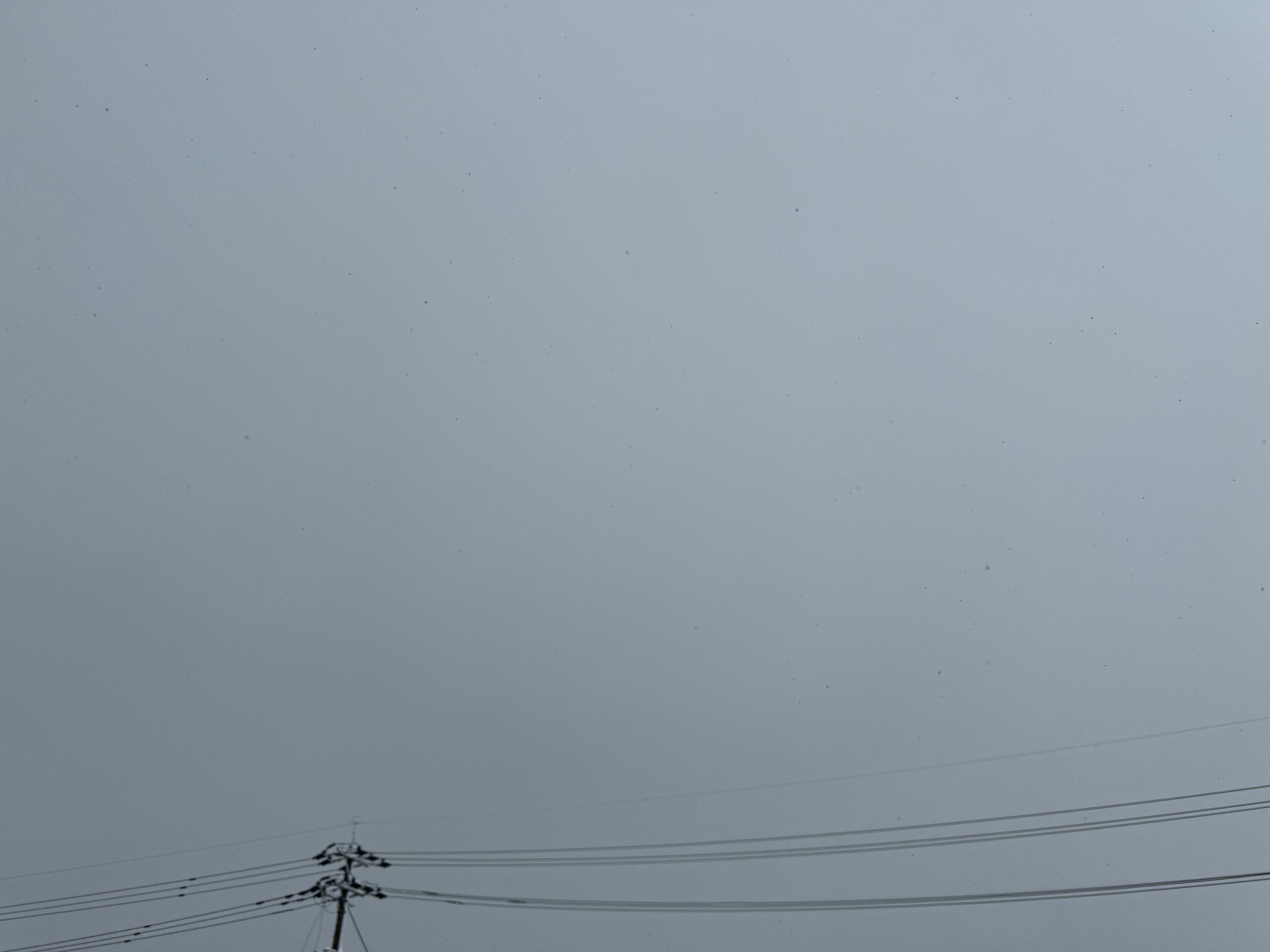 空　雪