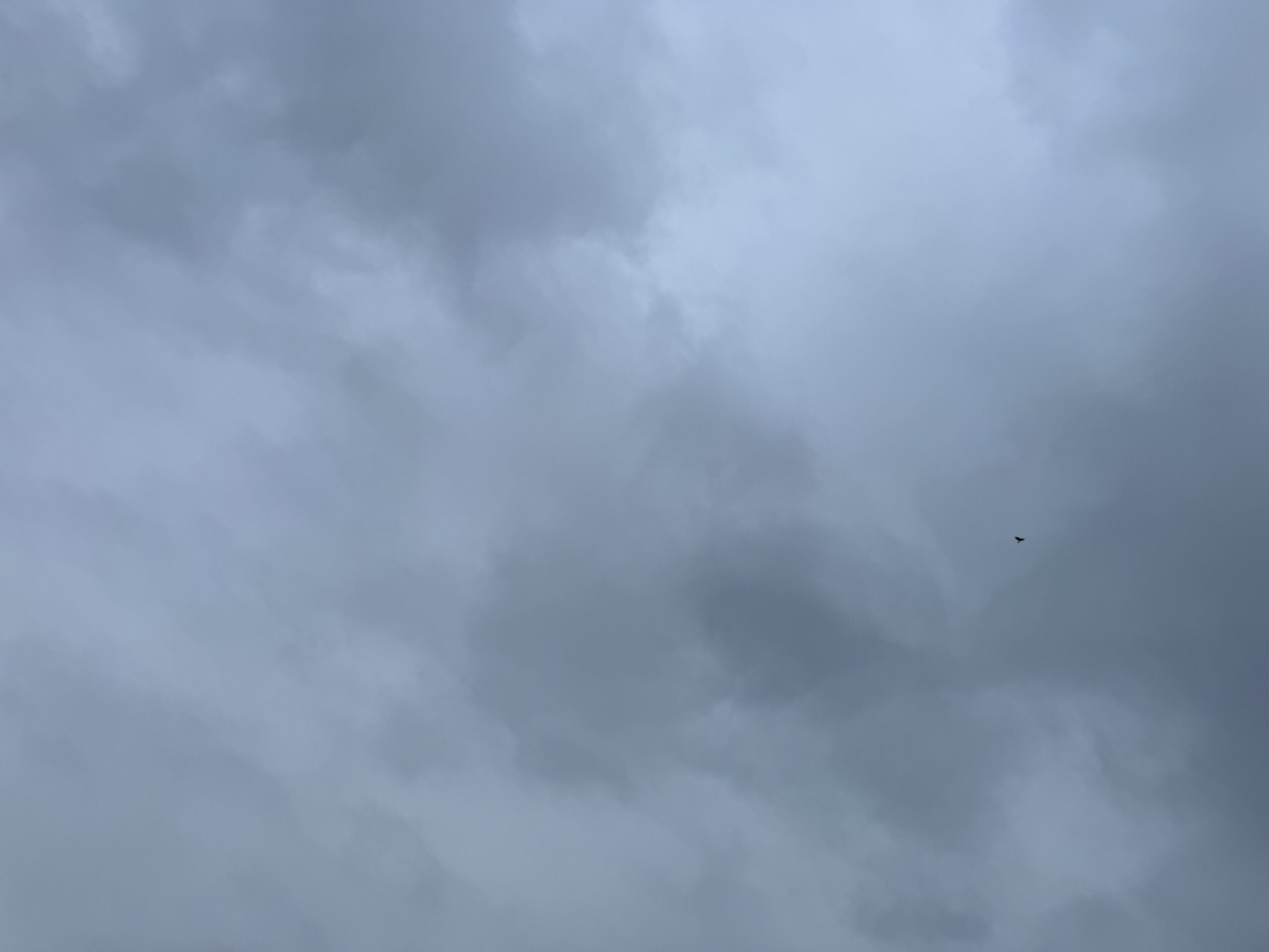 空　雨