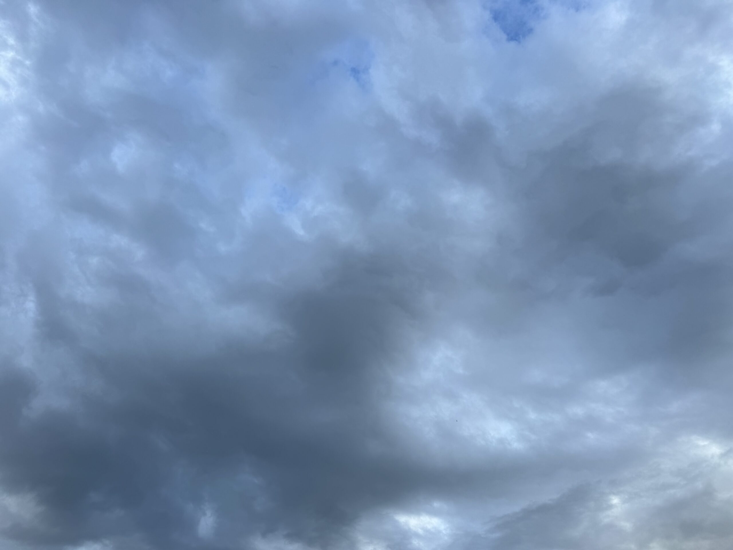 空　雨